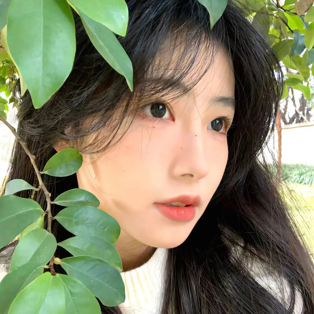 诅咒船长